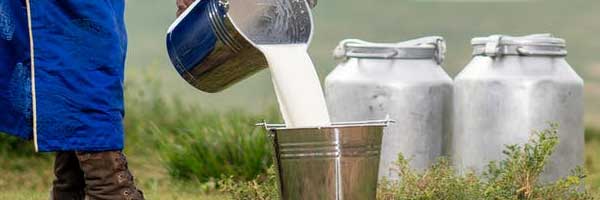 How Farmers Can Add Value To Their Milk 1 - How Farmers Can Add Value To Their Milk